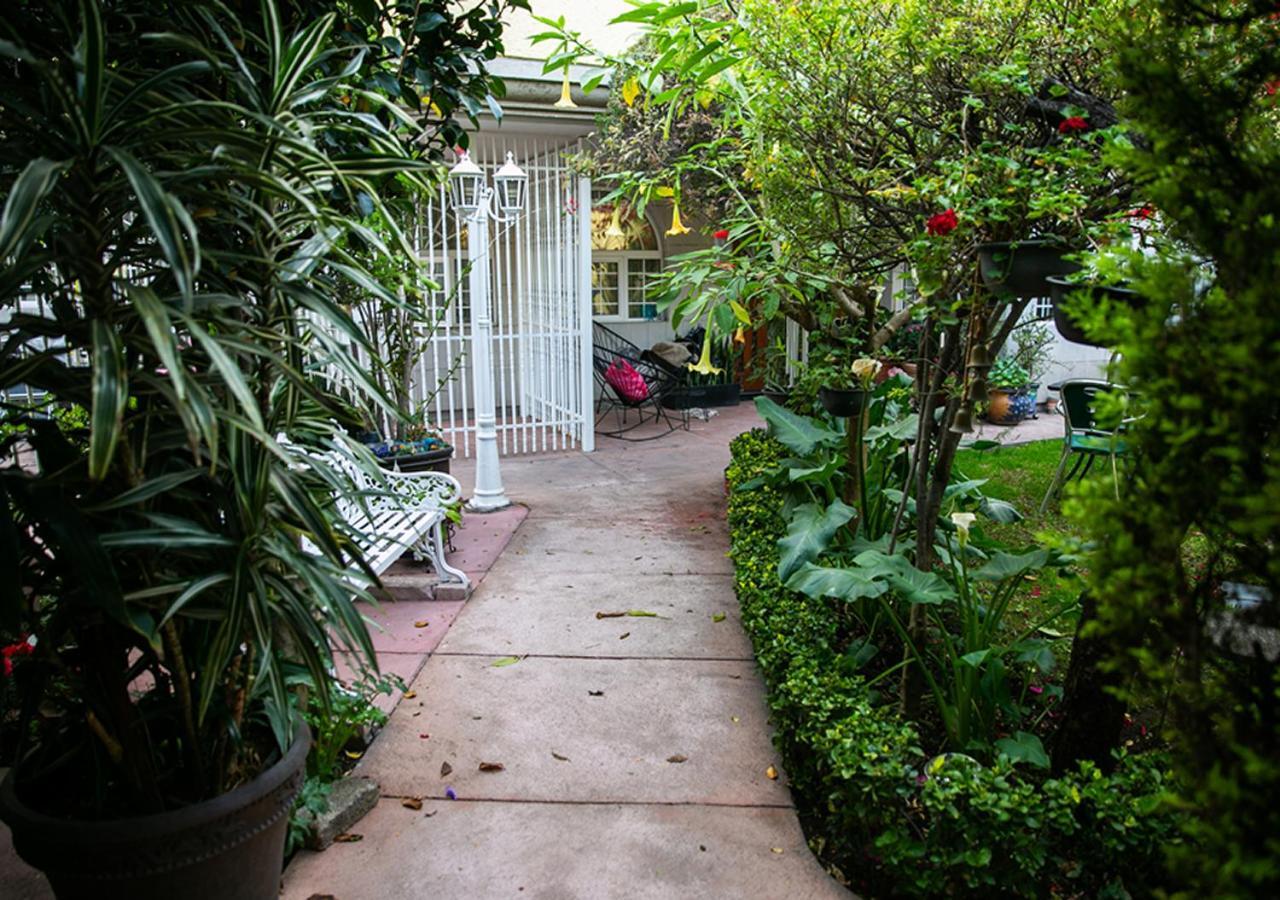 Casa San Pedro Kota Meksiko Bagian luar foto